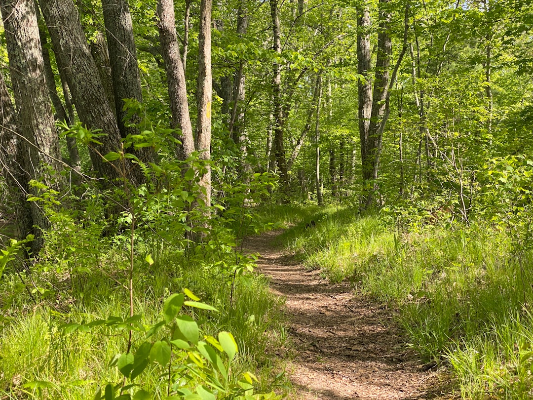 Sell Missouri land for retirement