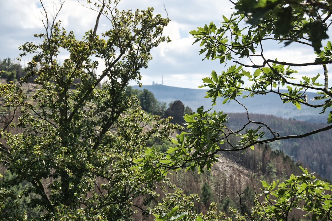 Buy land in Wyoming