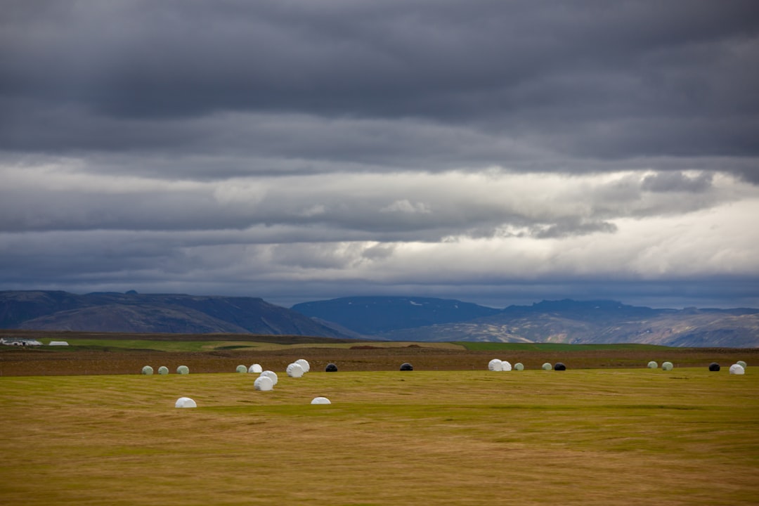 Buy land for cash Montana