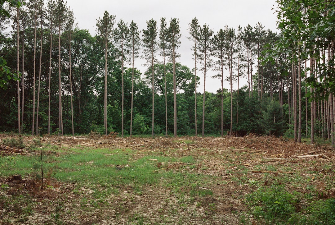 Wyoming land developers