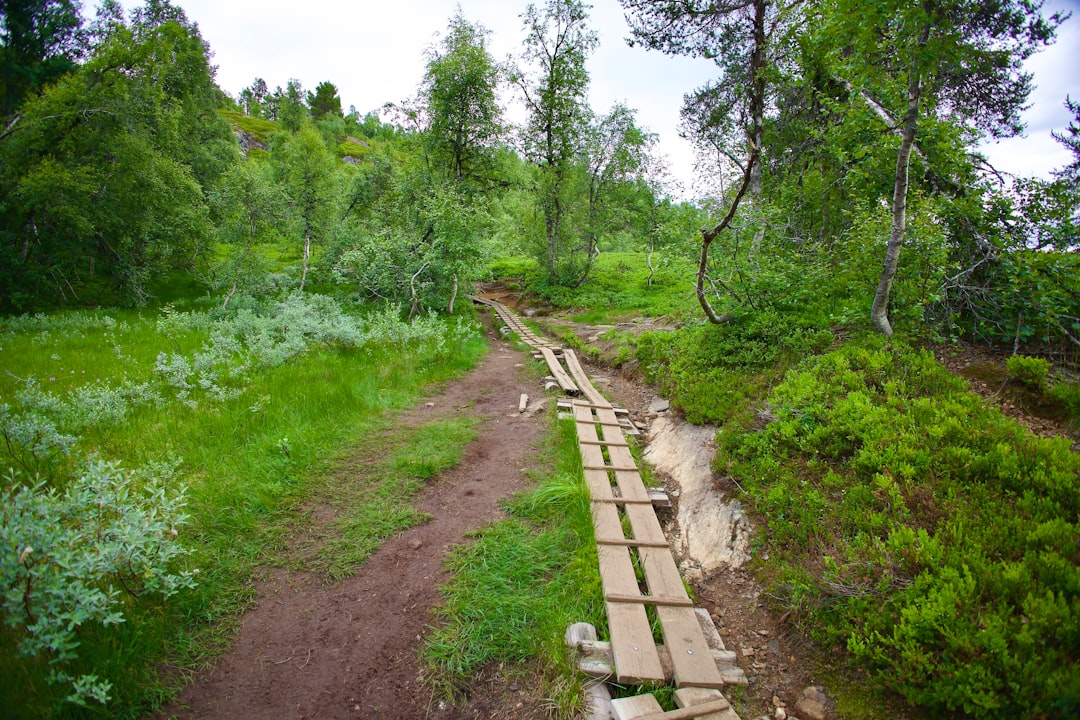 Selling timberland in Idaho