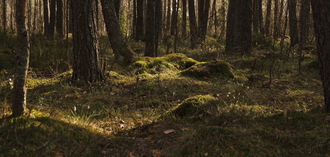 Alaska land with potential for recreation