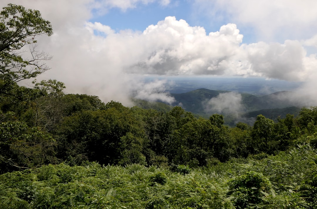 Selling land in Alaska to a developer