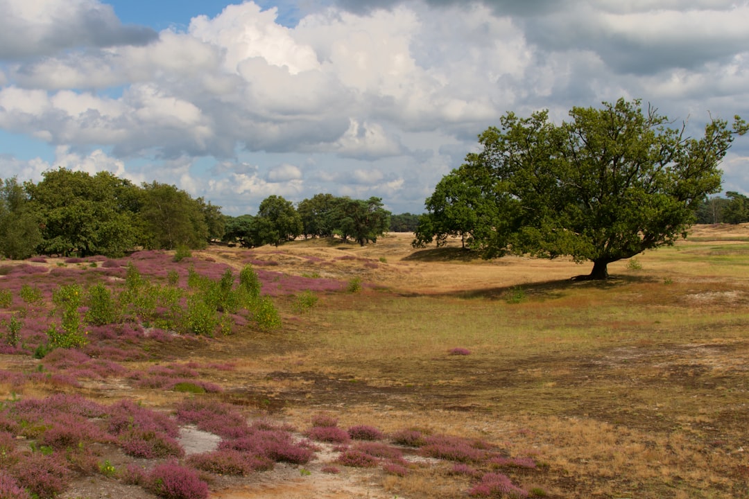 Missouri land buyer