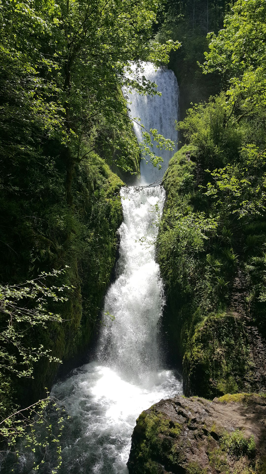 Cash for hunting and fishing land in Oregon