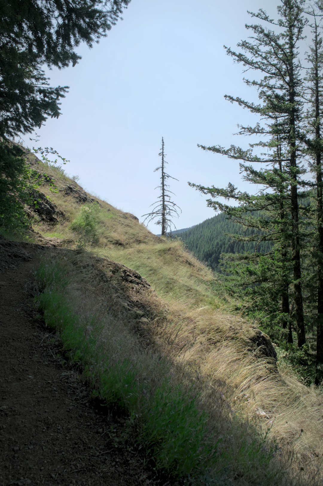 Sell Land with mountain views for cash in Utah