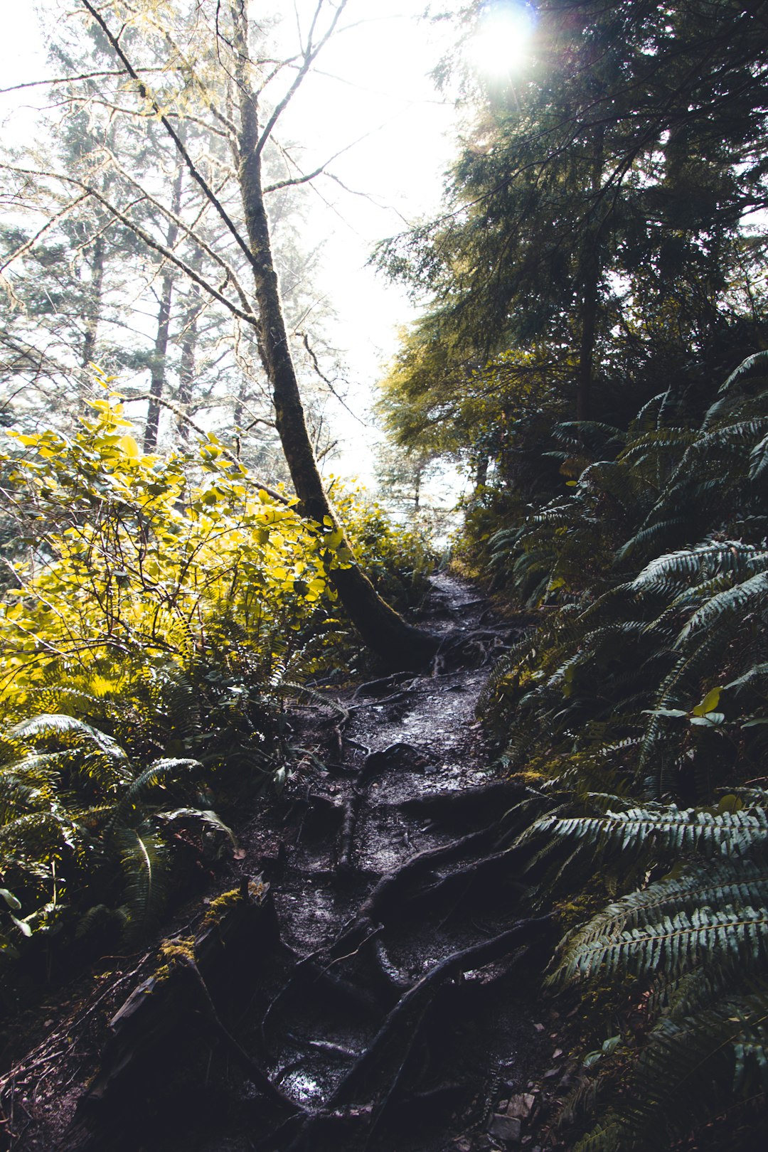 Selling rural land in Oregon