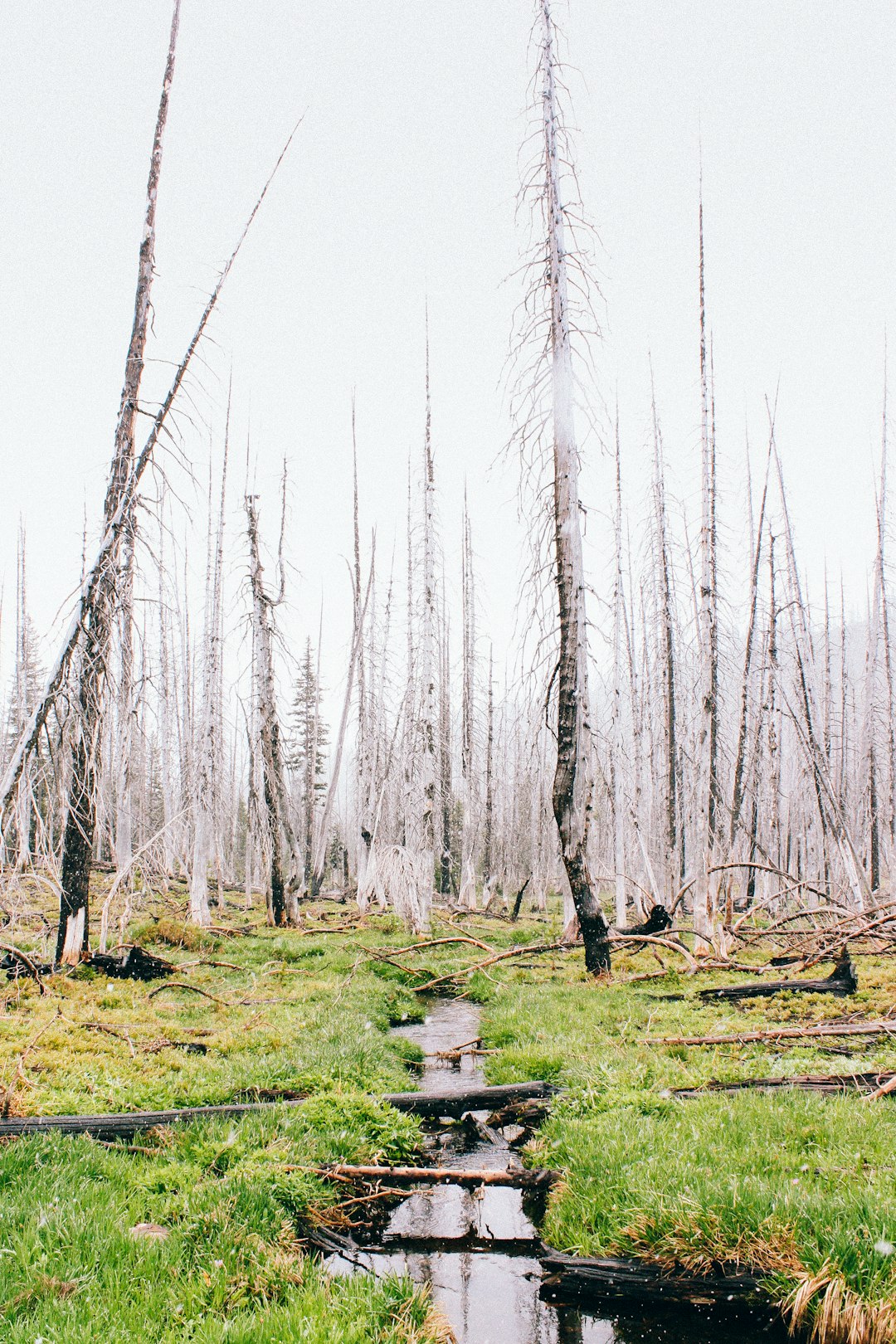 Selling mountain land in Oregon