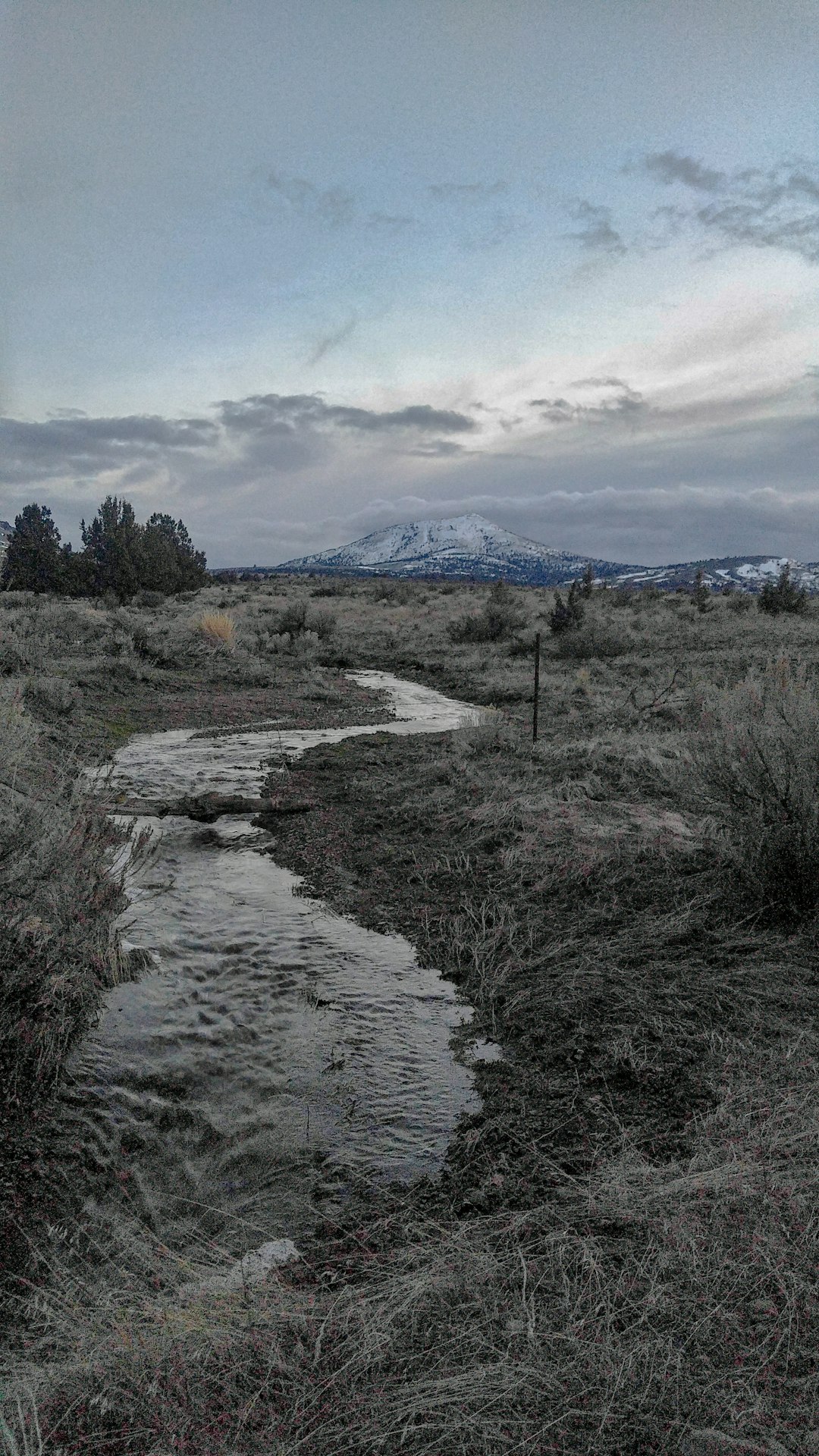 Sell land for oil and gas rights in Wyoming