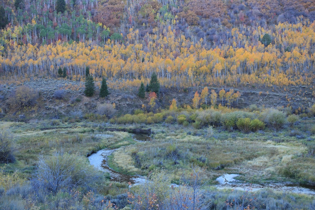 Wyoming public land access