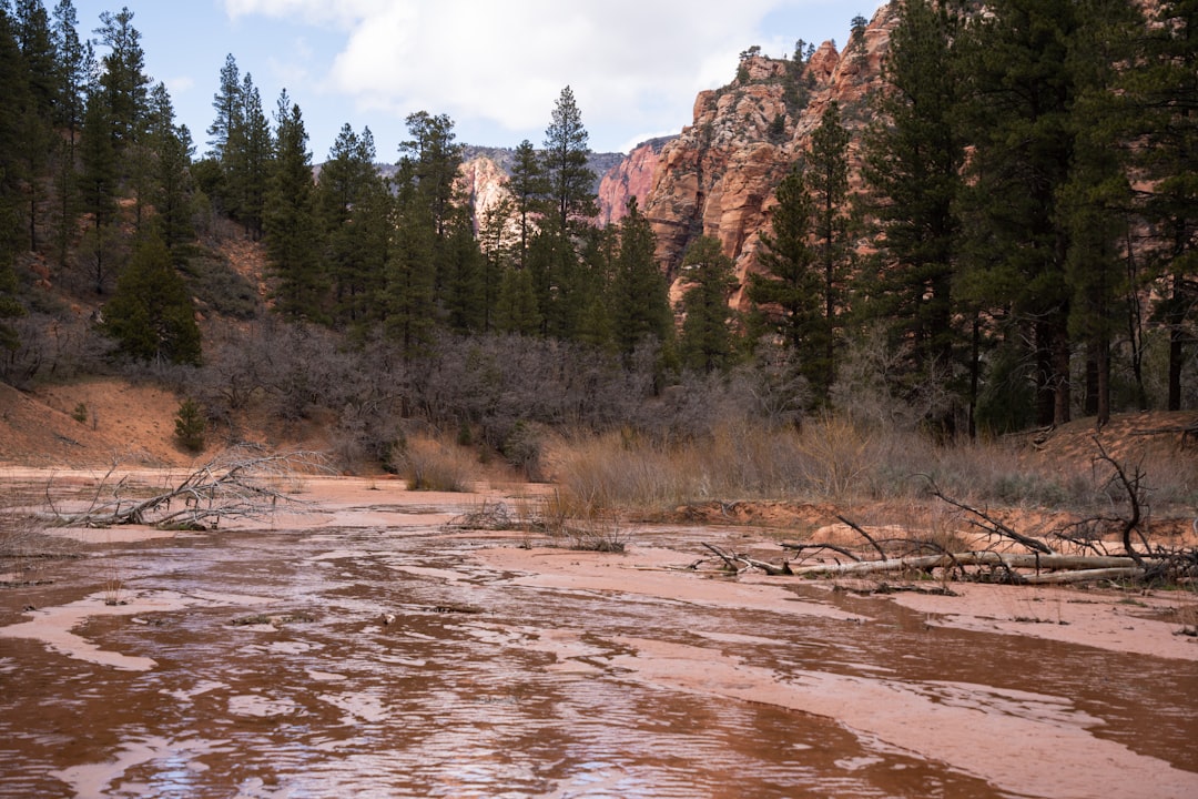 Sell Wyoming open space