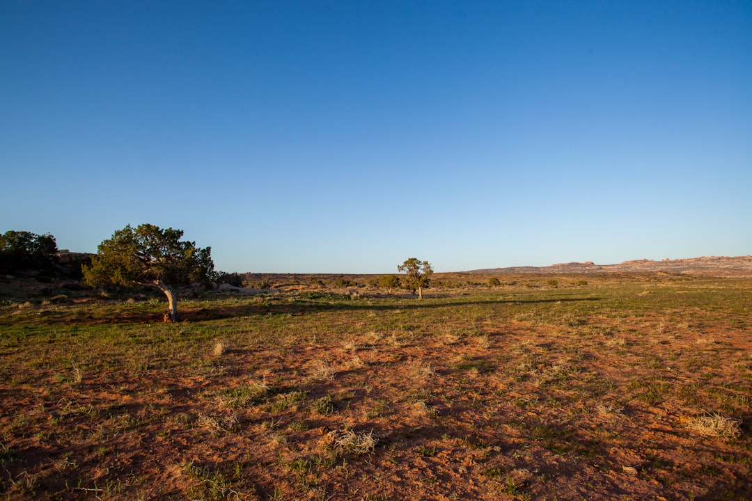 Nevada land exchange