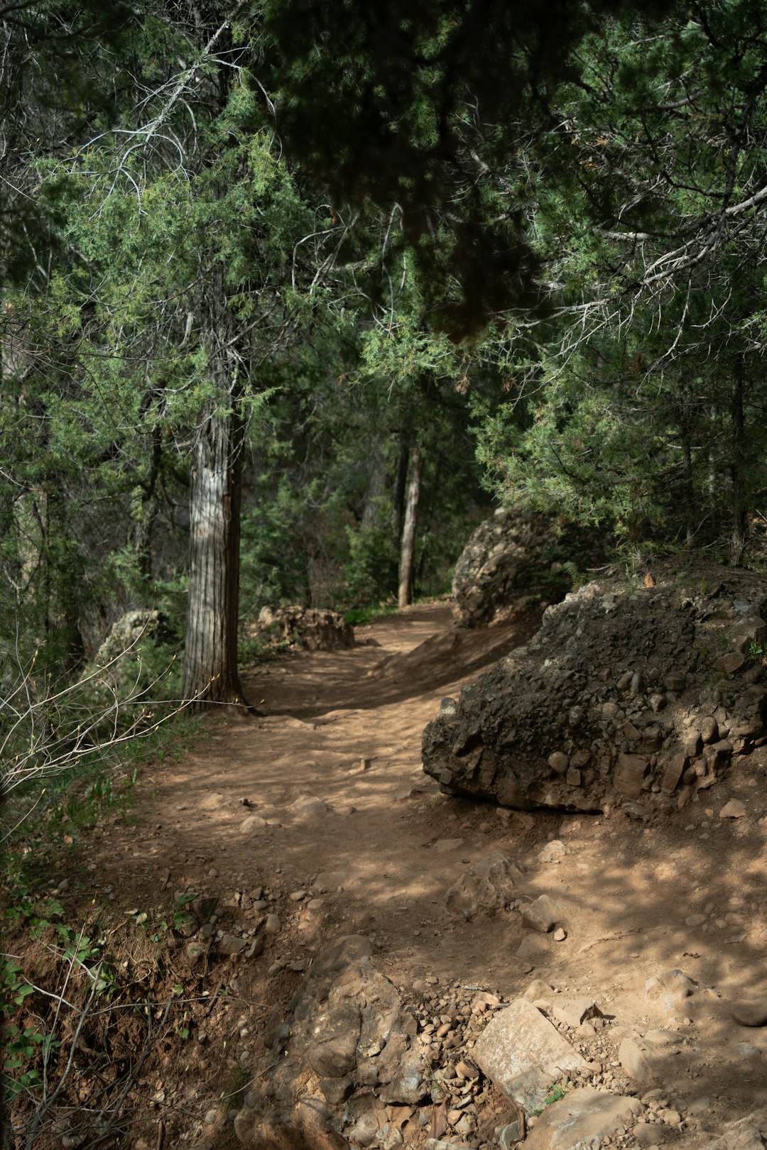 Sell hunting land for cash in Utah