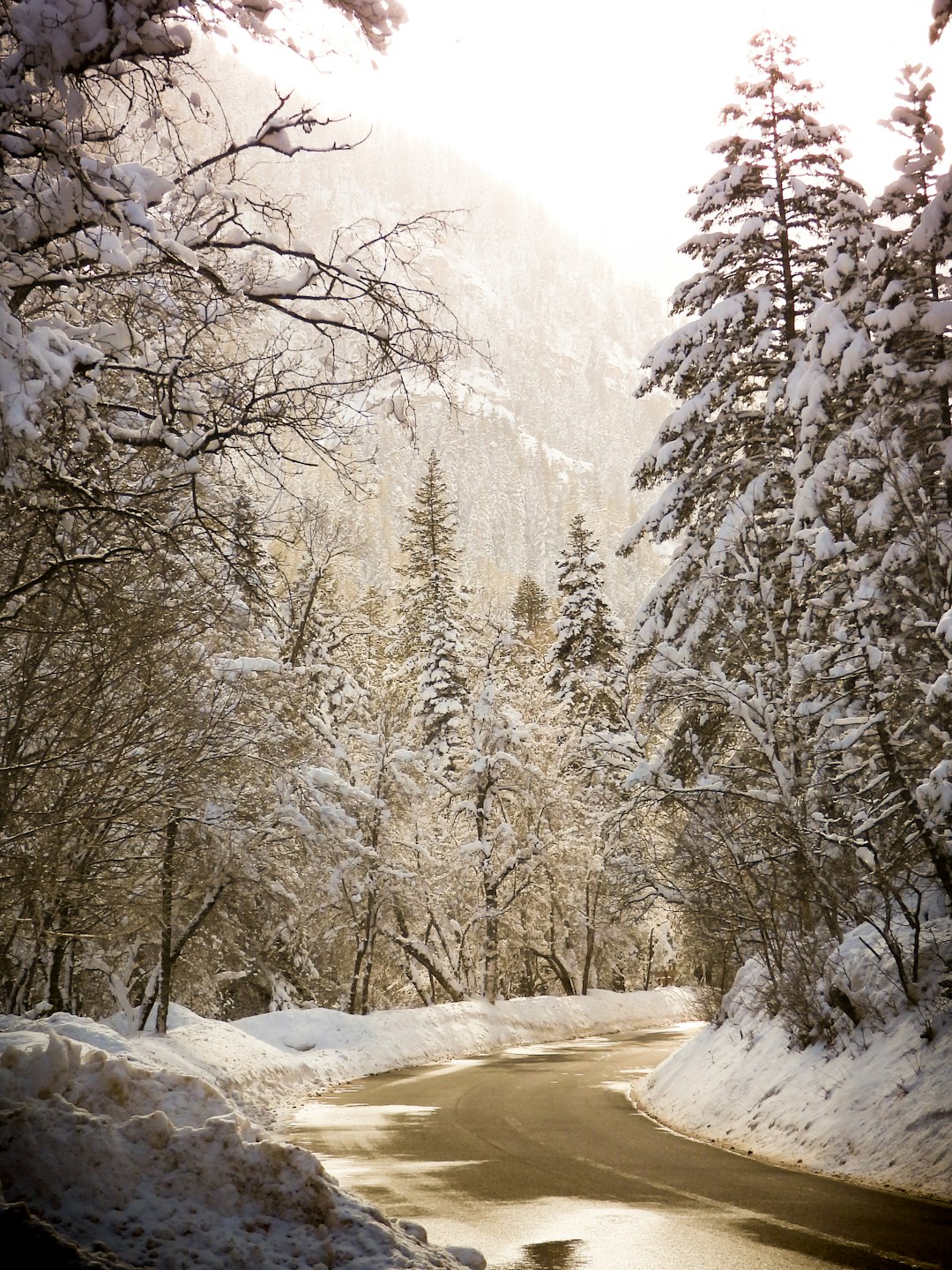 Sell abandoned land for cash in Utah