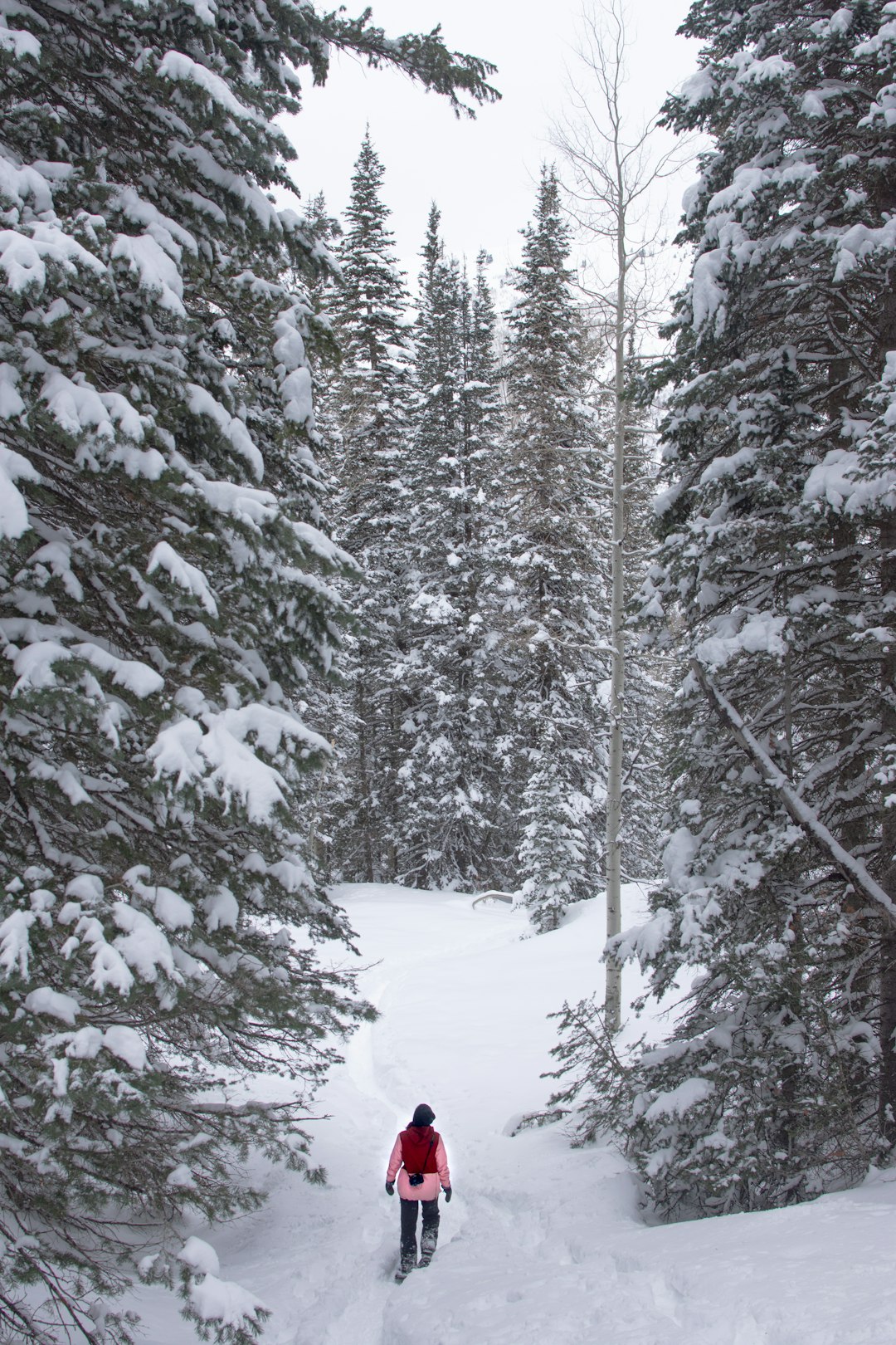 Wyoming public land access