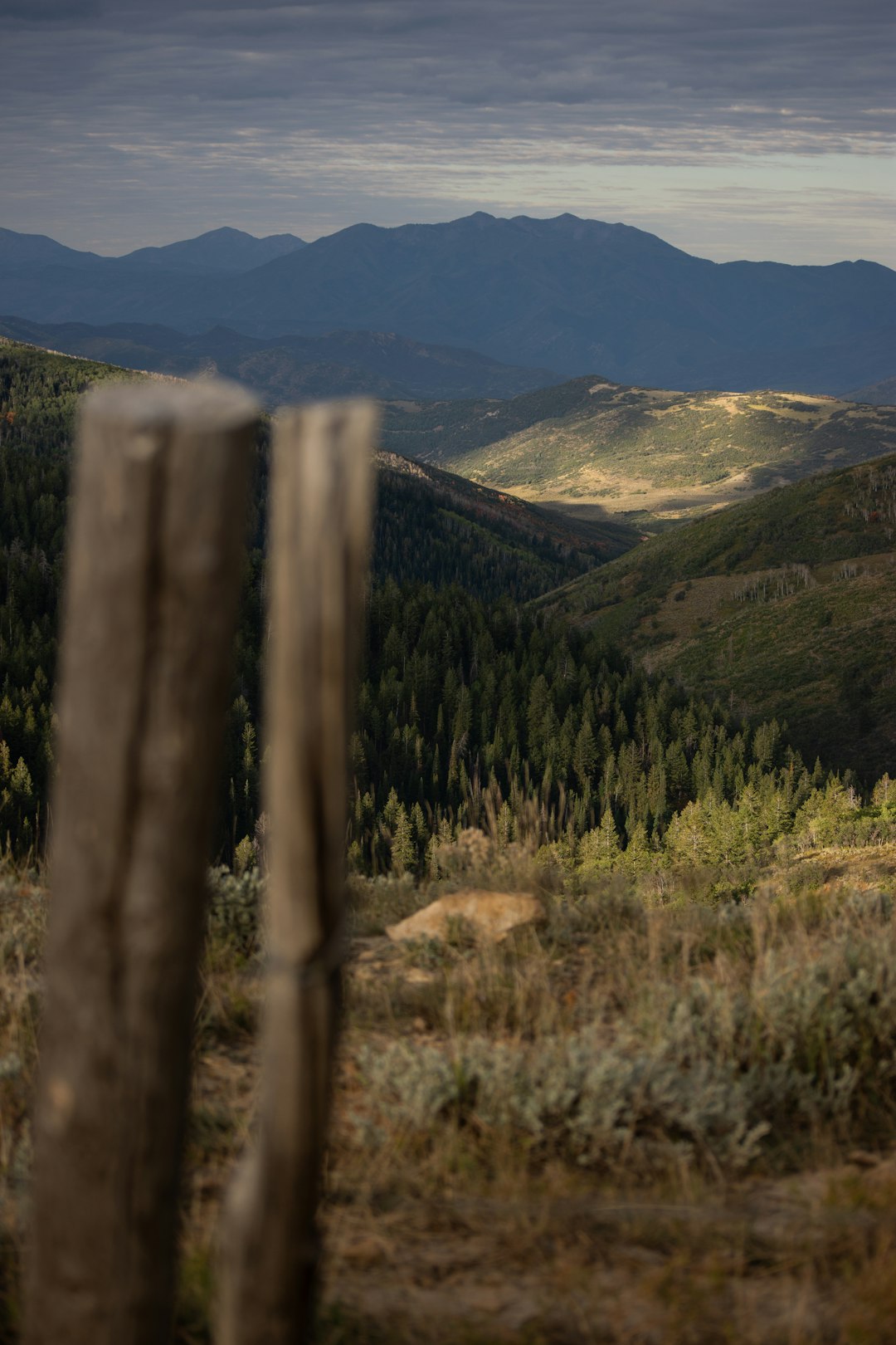 Selling mountain land in Nevada