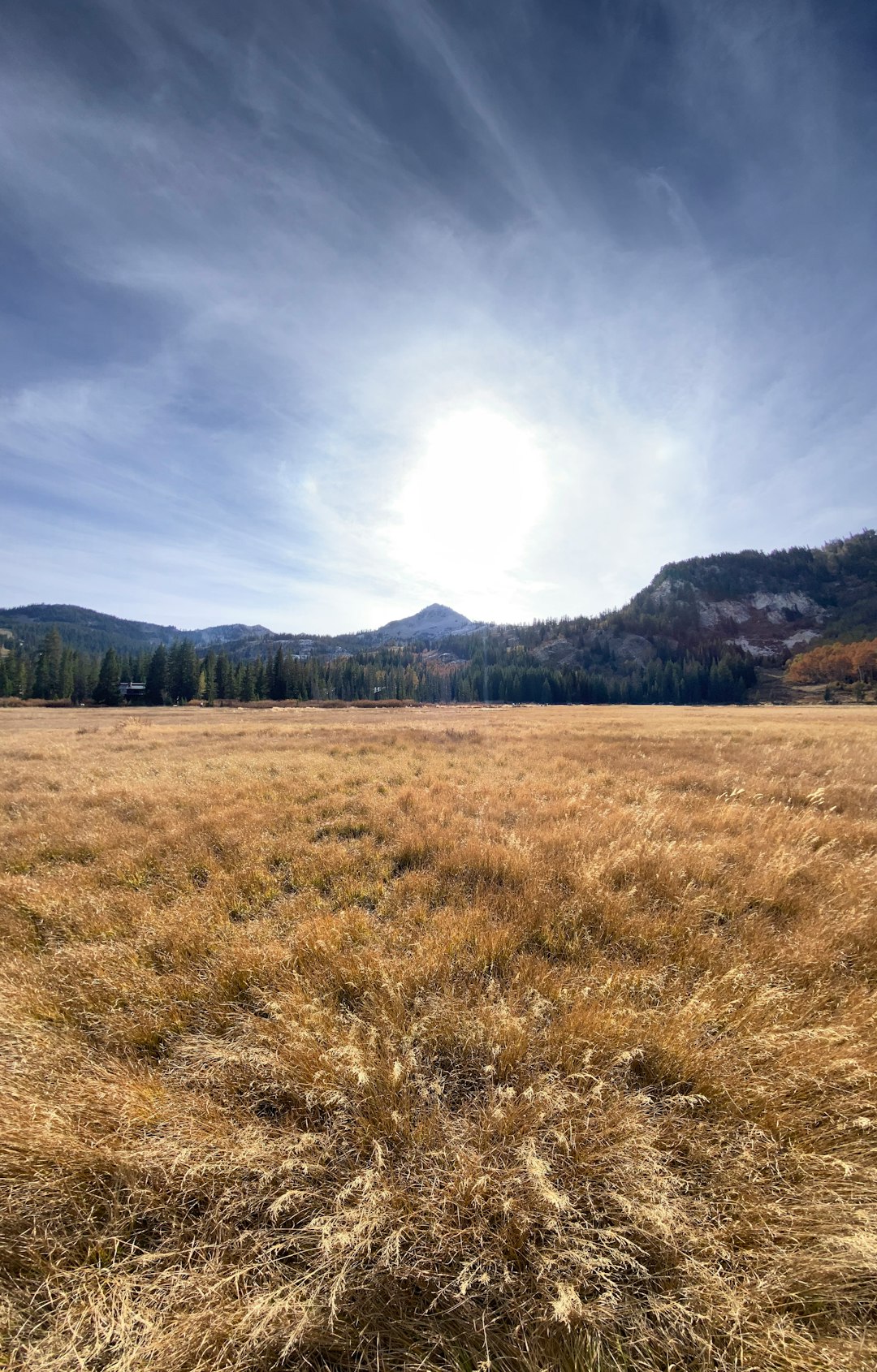 Wyoming public land access