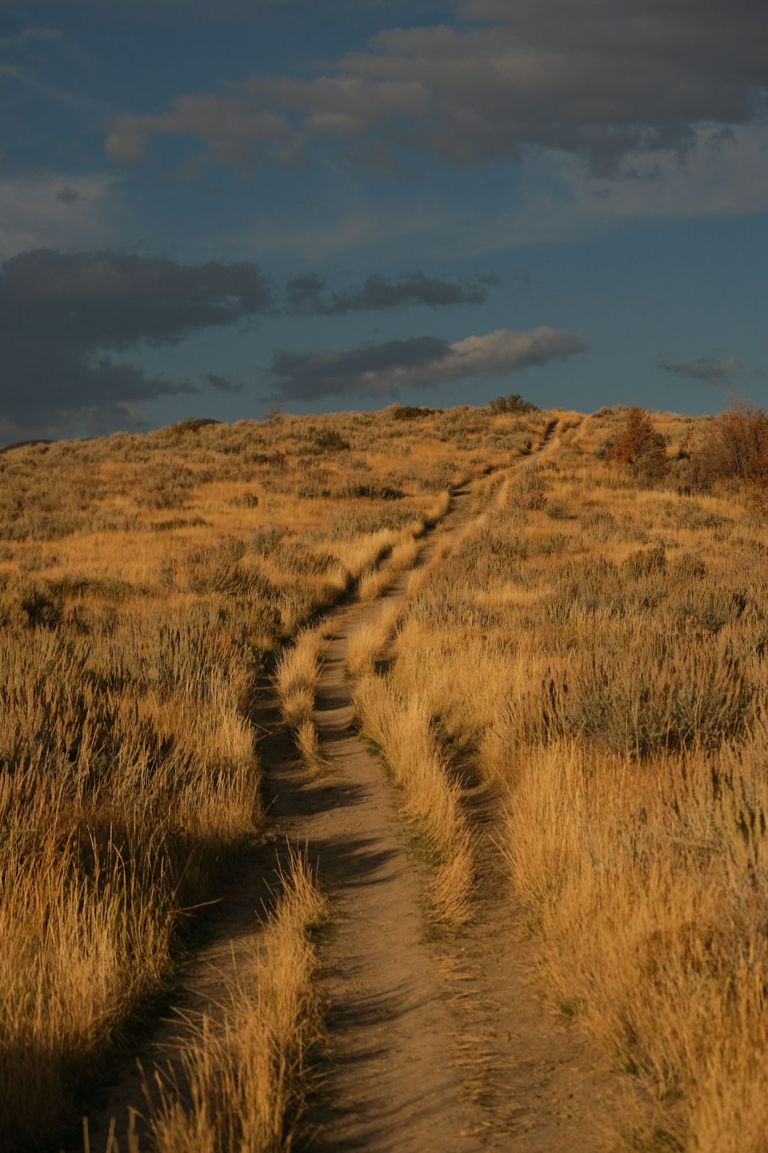 Sell Land near national parks for cash in Utah