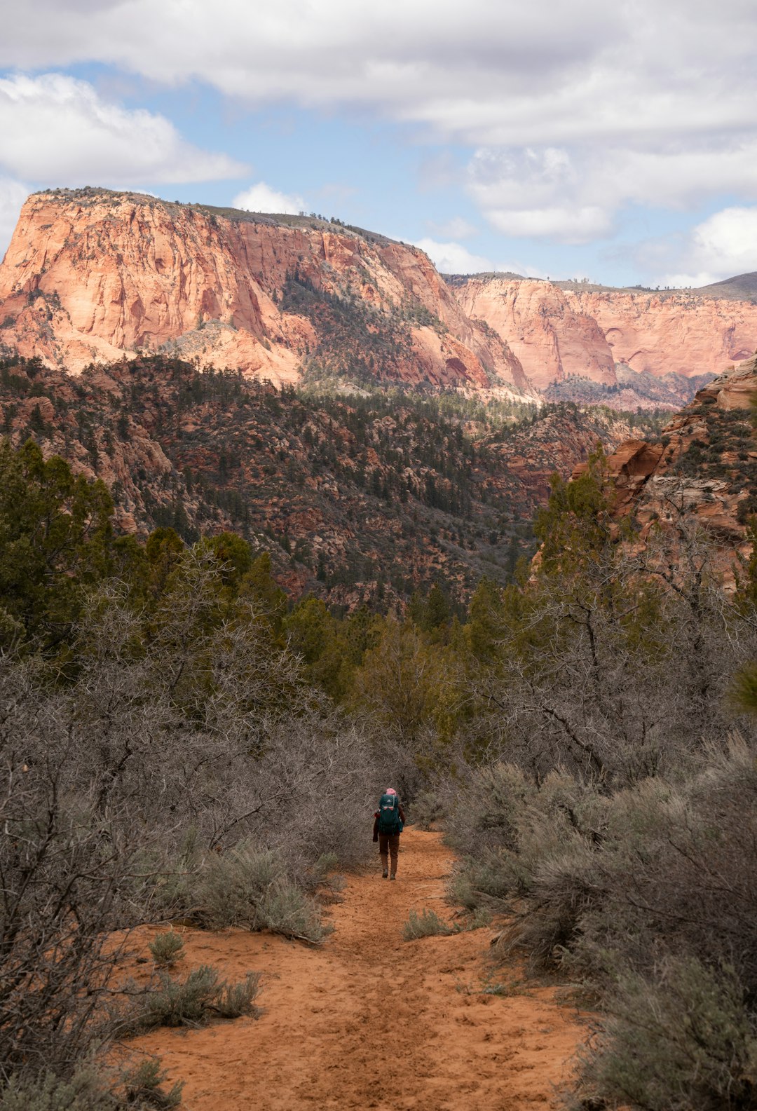 Sell Land with no fees for cash in Utah