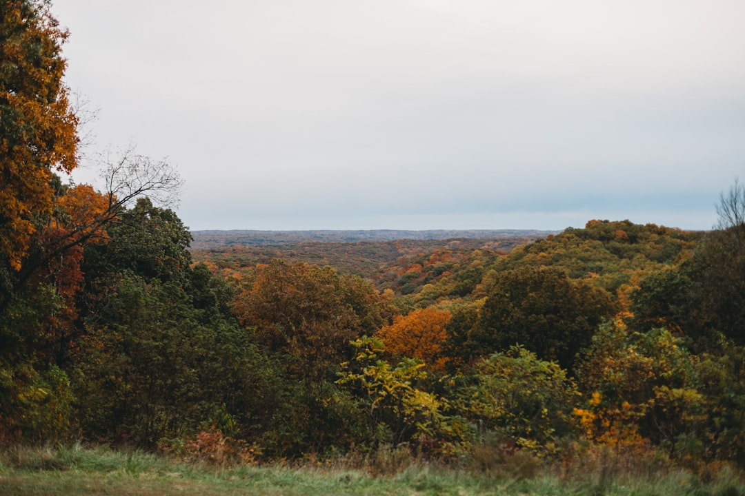 Fast Indiana land sale for cash