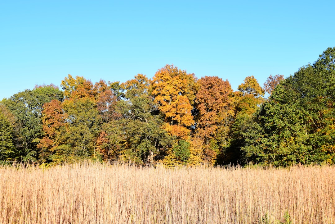 Cash offer for Indiana farmland