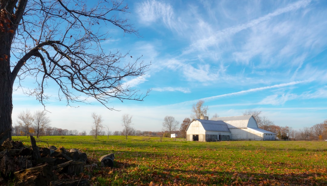 Cash buyout for Indiana land