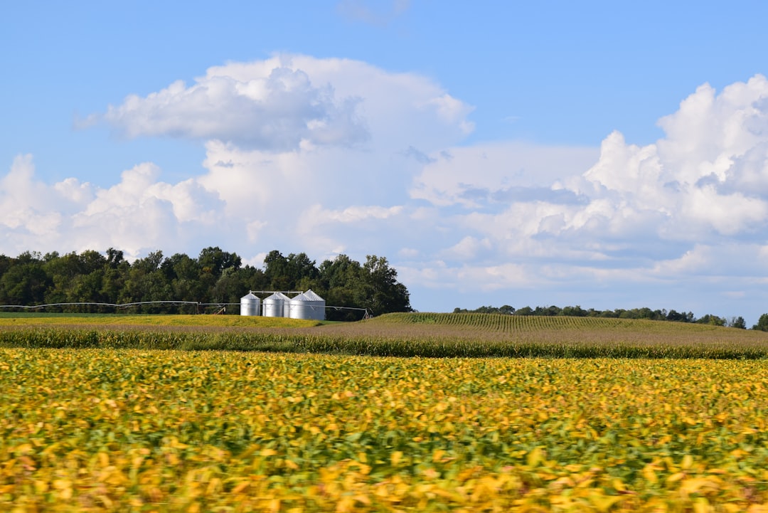 Washington rural land cash sale