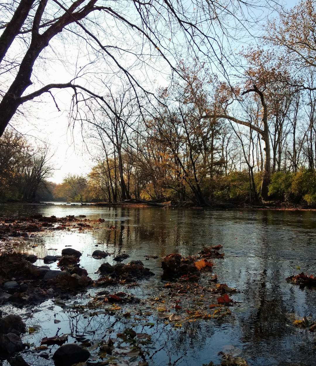 Cash out Indiana acreage