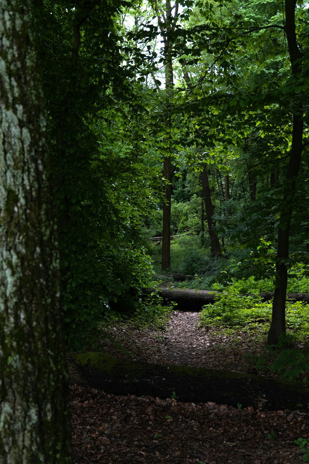 Cash for land in Washington