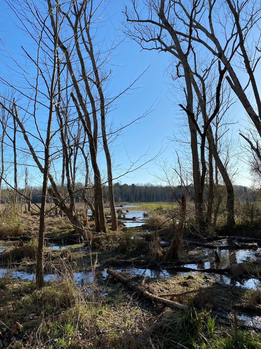 Cash offer for Indiana farmland