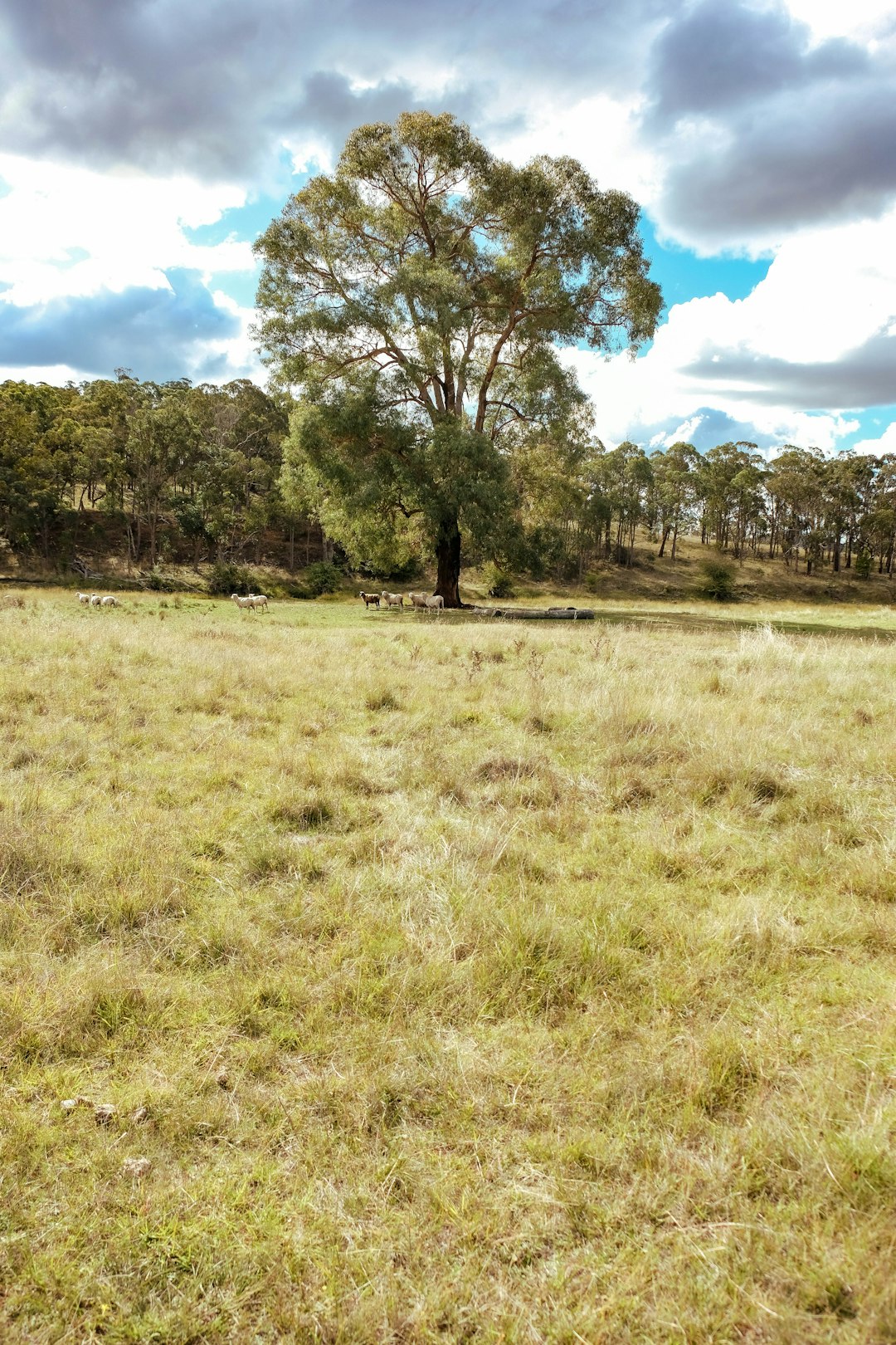 Cash offers for rural Washington land