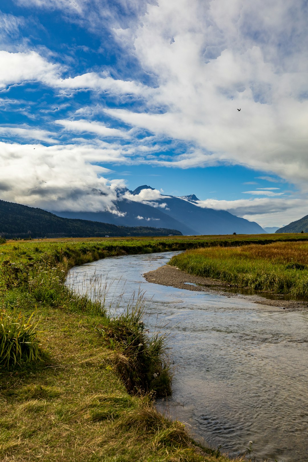 Cash offers for undeveloped Washington land