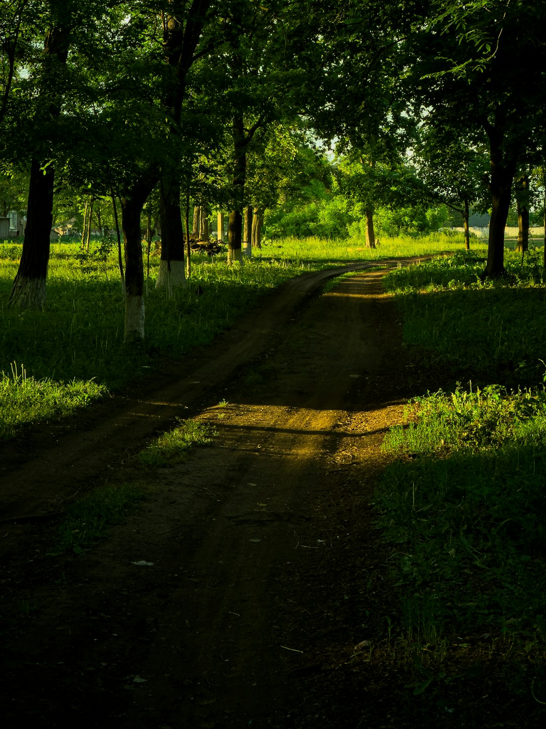 Washington rural land cash sale