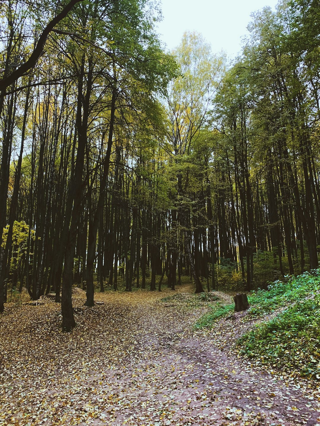 Indiana vacant land for sale