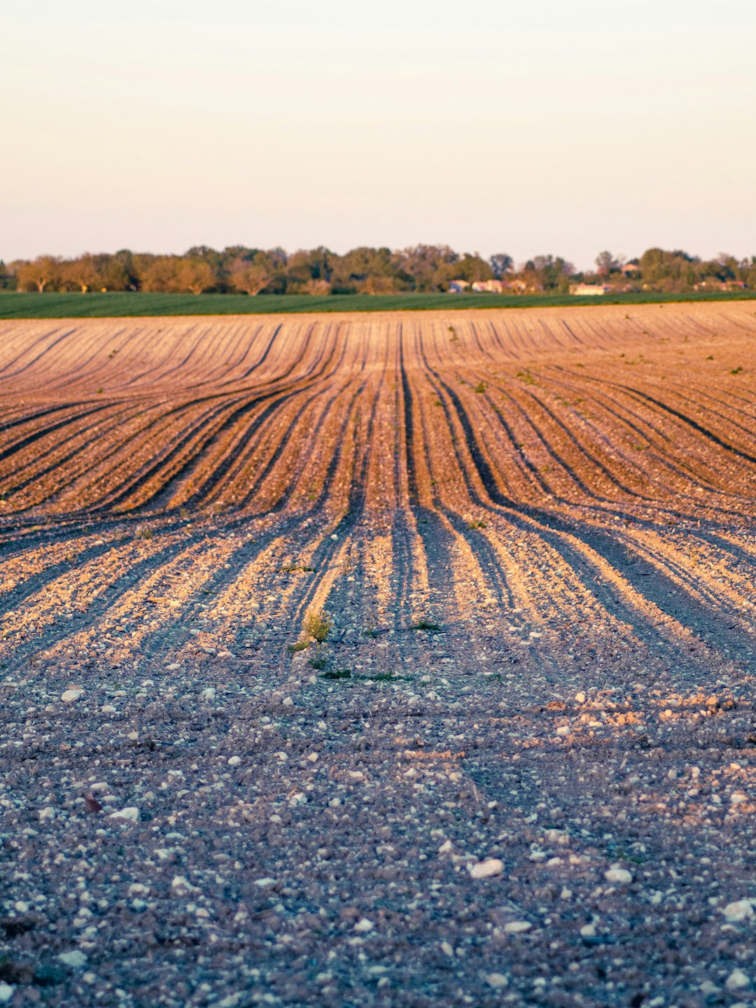 Indiana raw land cash sale