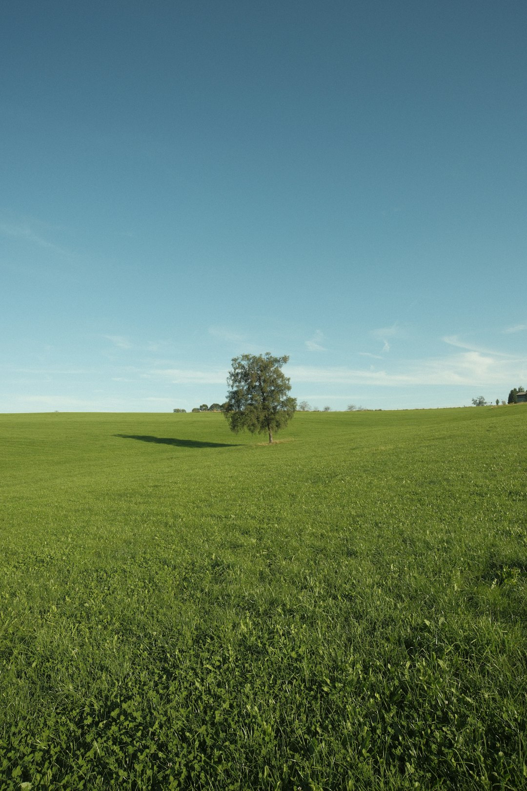 Sell Washington farmland for cash