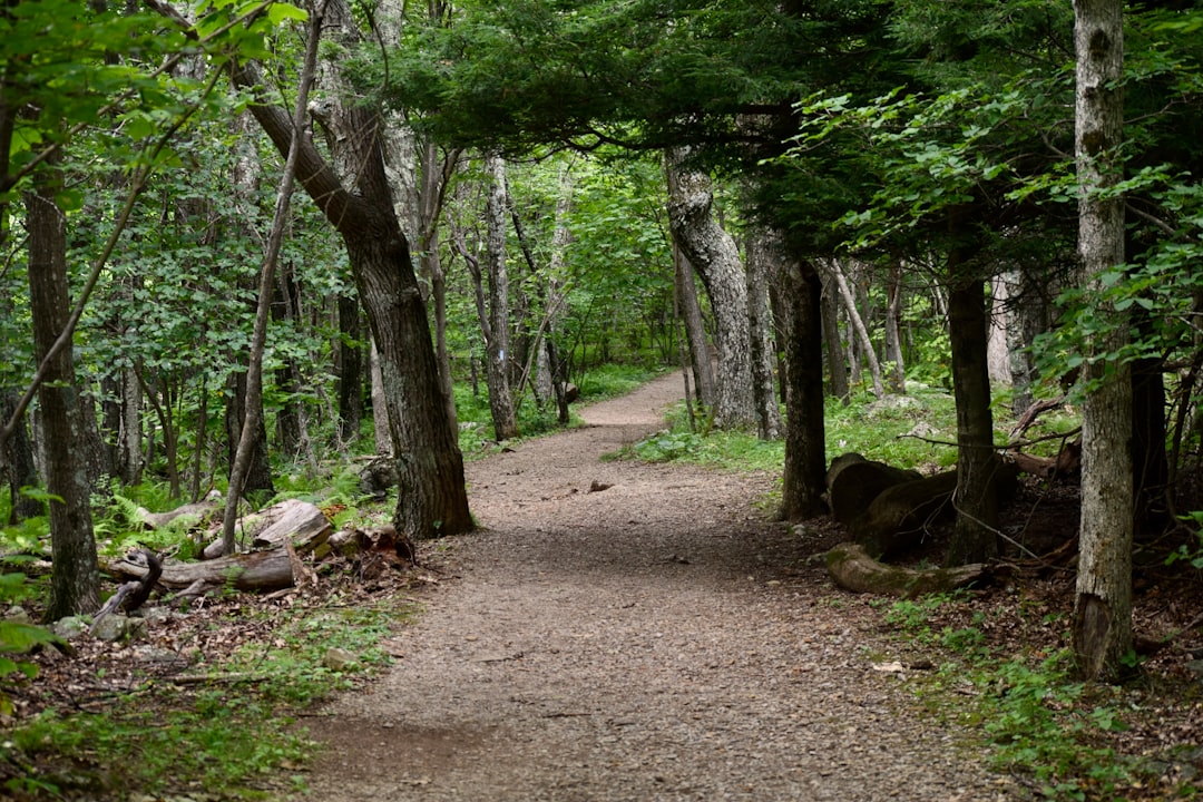 Cash for coastal land in Massachusetts