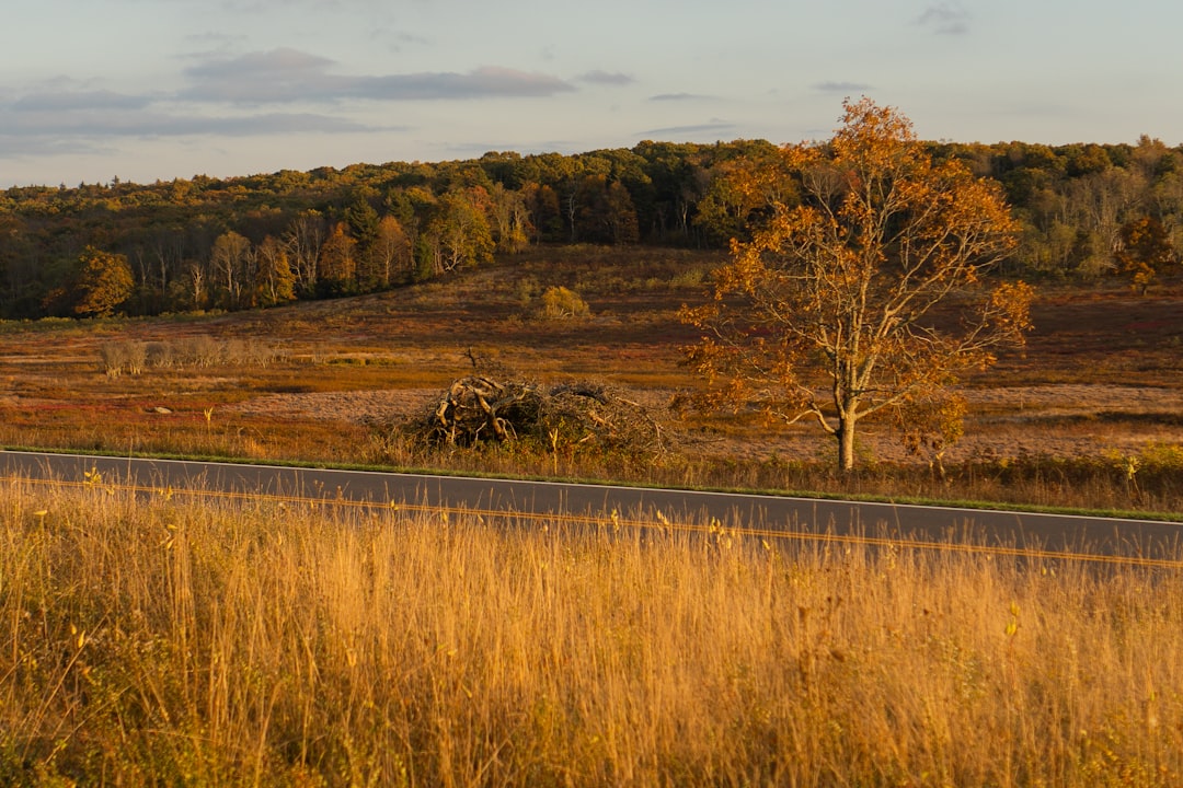 Sell Virginia land for cash