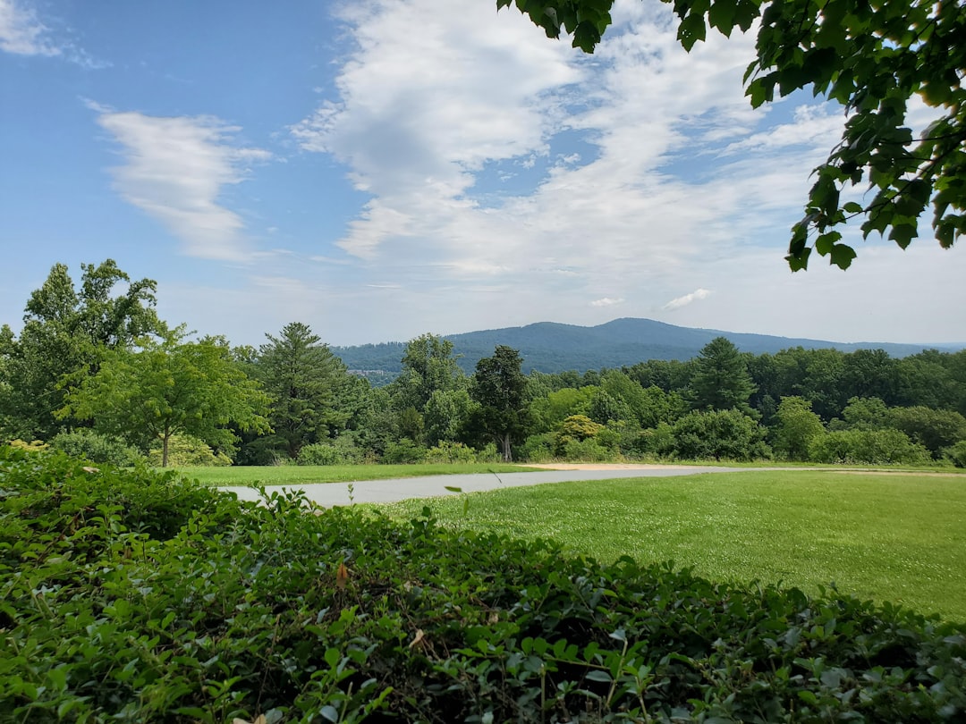 Maine land buyer