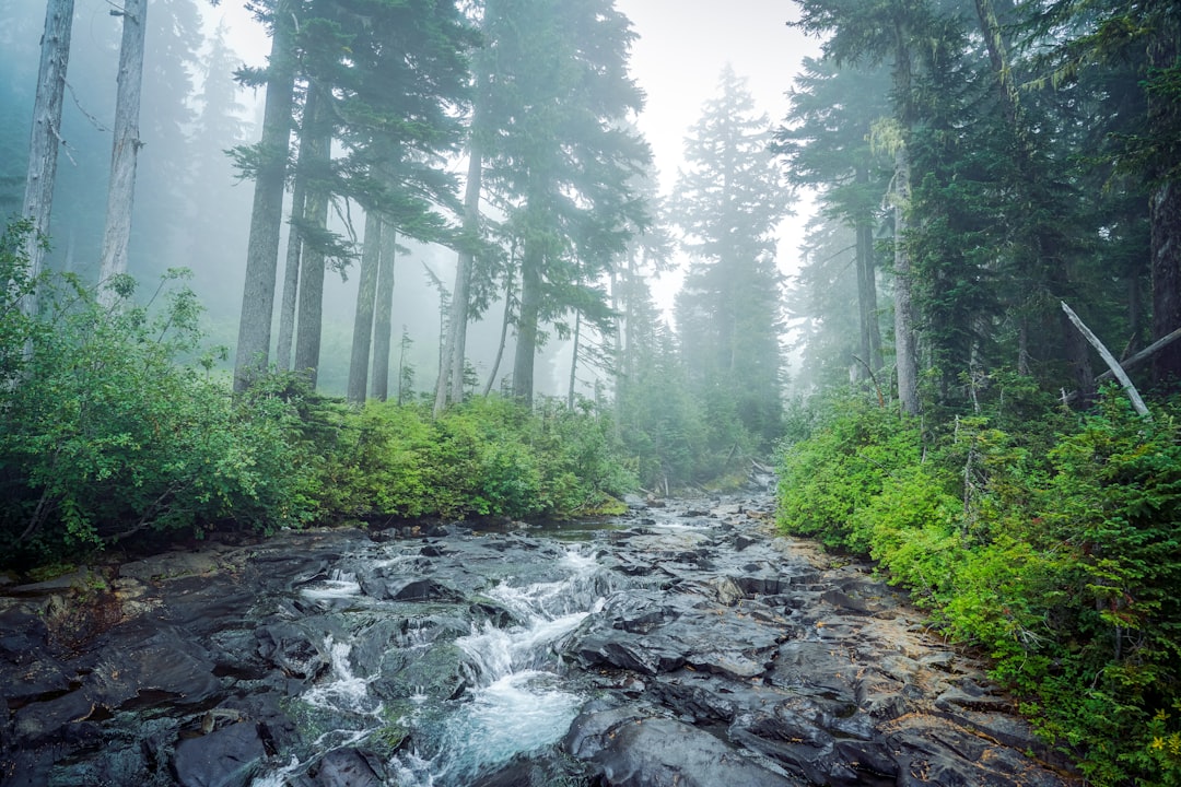 Sell vacant land for cash in NC