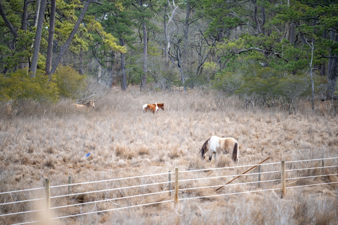 Sell land in Maryland