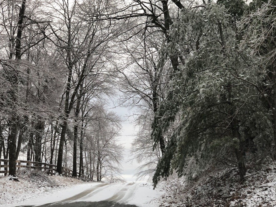 Cash buyers for hunting land in Wisconsin