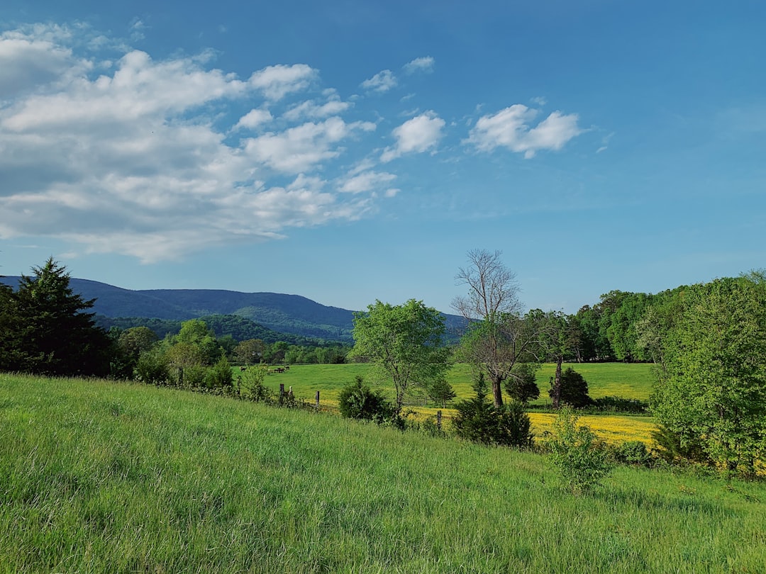 Sell Massachusetts land for cash