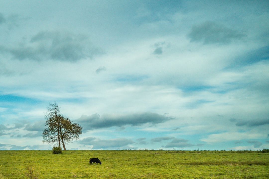 Sell land in Virginia