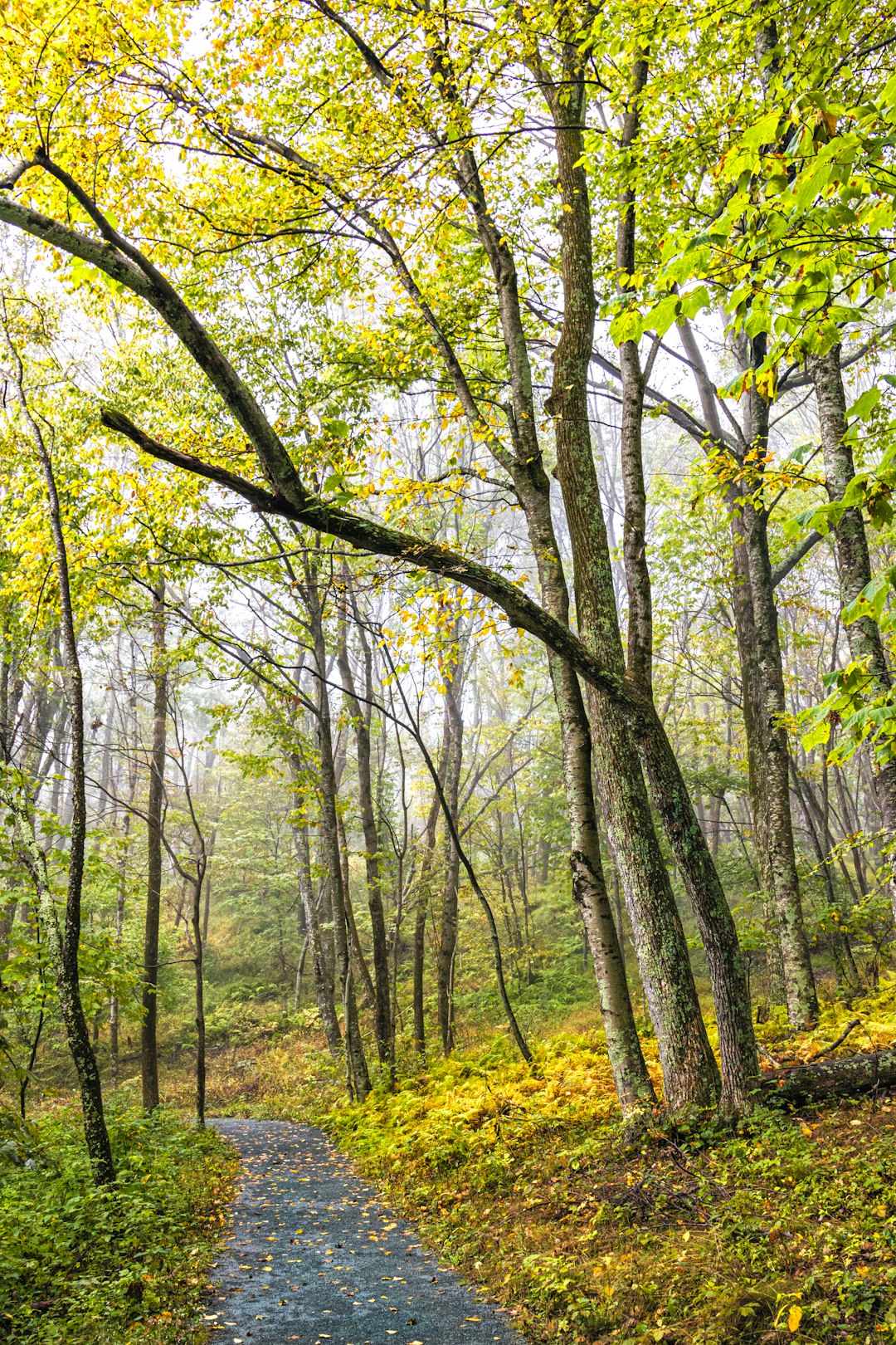 Massachusetts land buyers