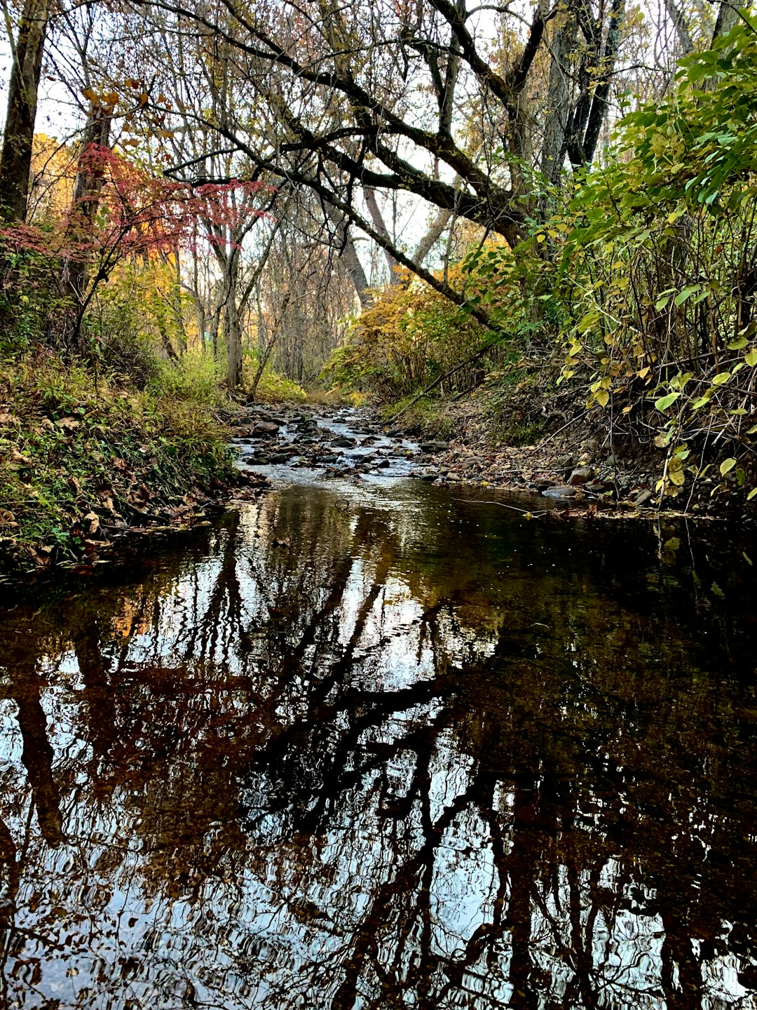 How to sell farmland in Wisconsin for cash