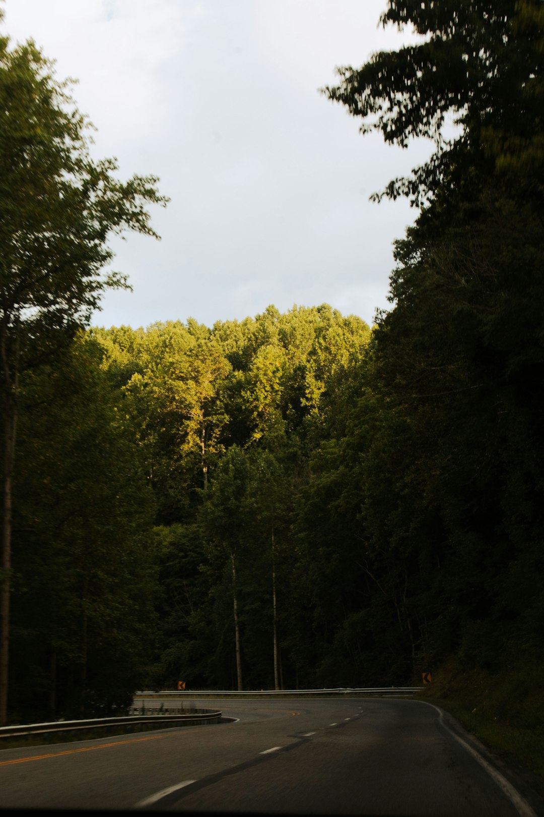 Sell hunting land in Wisconsin