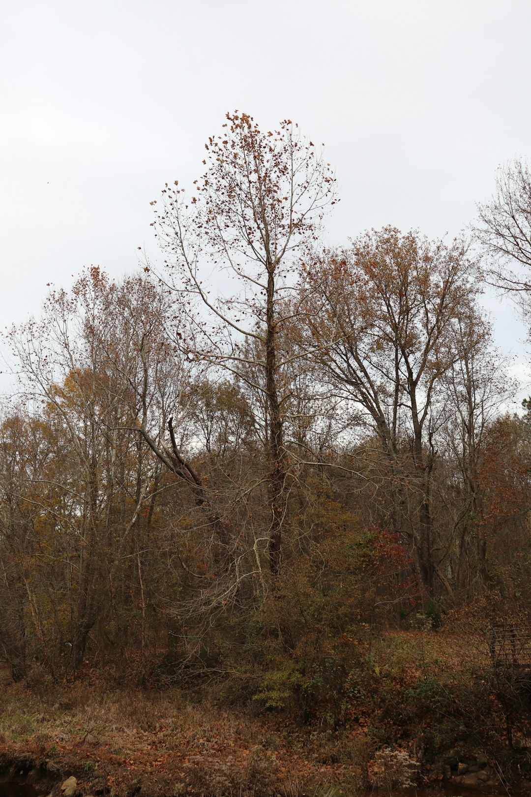 Sell land in Wisconsin for top dollar