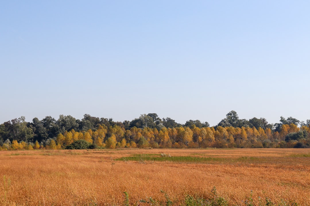 Land use planning