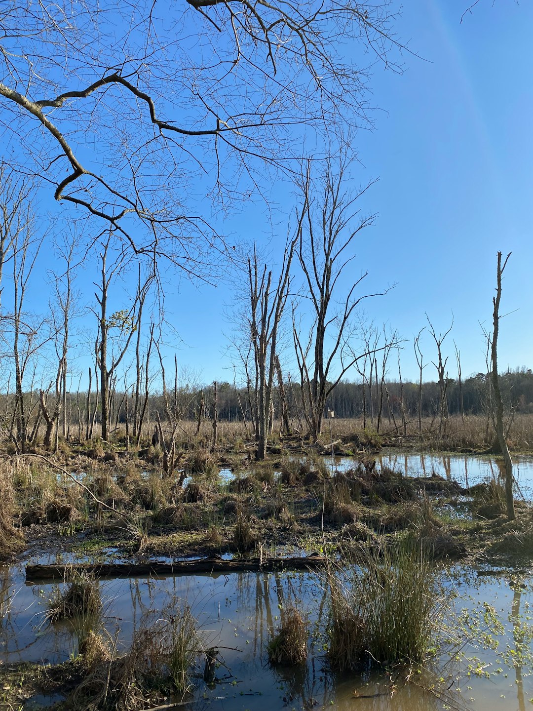 Checking out New York's Diverse Landscape